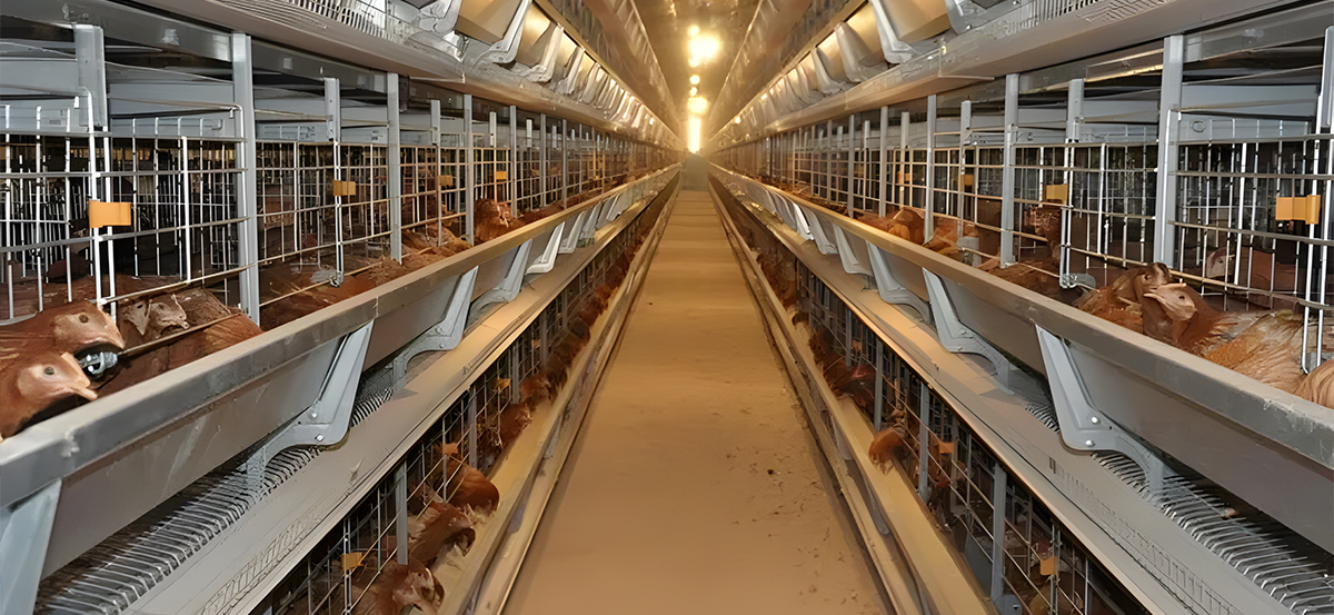 某某凈化-經(jīng)驗(yàn)豐富品質(zhì)可靠 某某凈化-經(jīng)驗(yàn)豐富品質(zhì)可靠