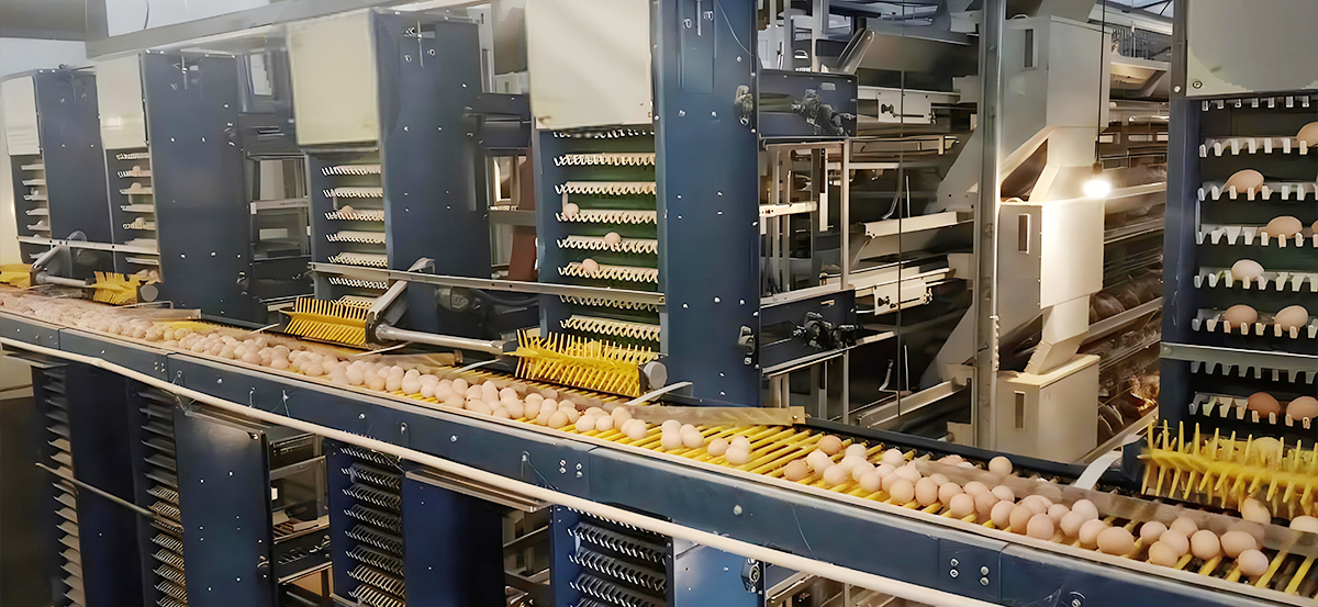 某某-規(guī)模量產(chǎn)性?xún)r(jià)比高 某某-規(guī)模量產(chǎn)性?xún)r(jià)比高