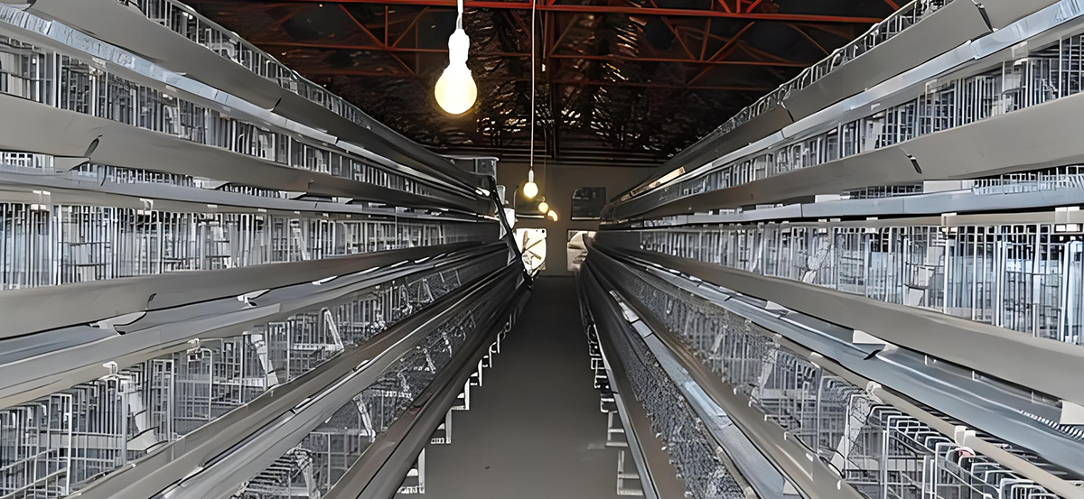 某某-創(chuàng)新設(shè)計(jì)支持定制 某某-創(chuàng)新設(shè)計(jì)支持定制